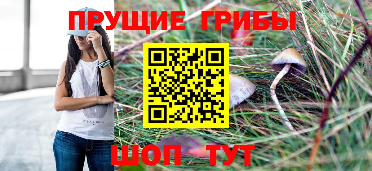 Узловая  Галлюциногенные грибы Magic Shrooms  Галлюциногенные грибы Cubensis  Вход с VPN 