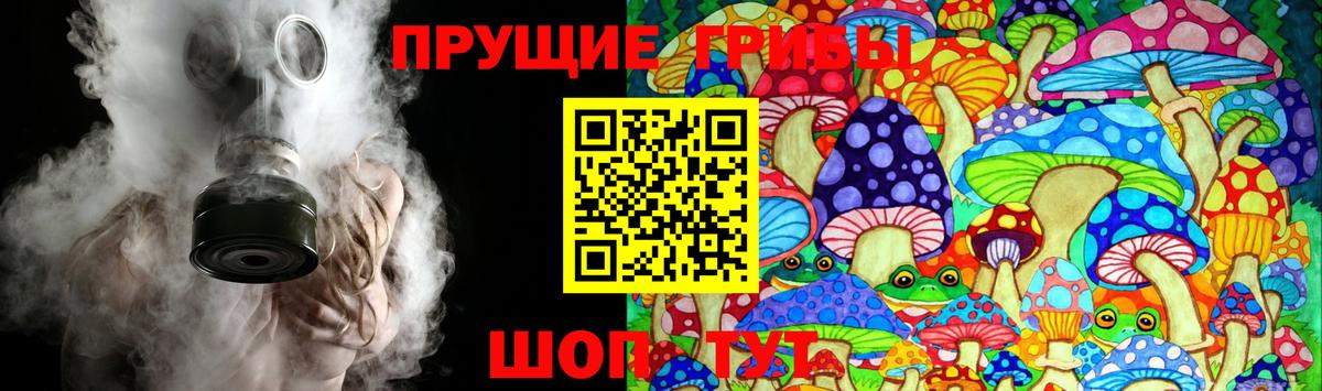 Галлюциногенные грибы Psilocybe Узловая